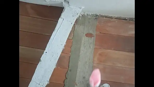 Cataleya_ja