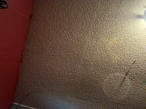 sexxayseven (M young) - #american #big-cocks #brunettes #canadian #gamers #handy #hd #masturbation #medium #mobile #power-bottom #power-top #small-audience #straight #vers #white #young