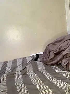 TThickblackpussy1