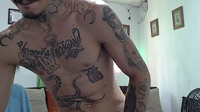 alpha_zom live cam on StripChat
