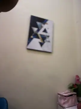 NovaFoxx webcam