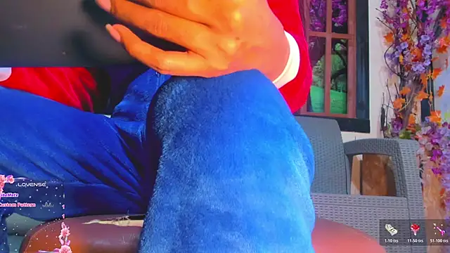 bayolet_