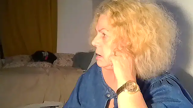 belgianshantie