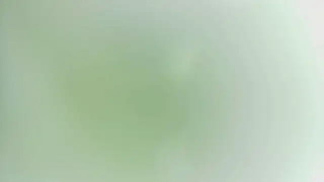 karol_stom