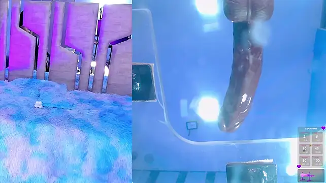 AriHale_