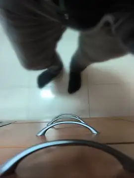 soyyoelque4