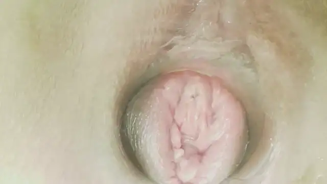 karol_stom