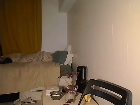 belgianshantie webcam