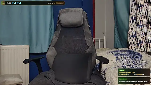 hairybearcb