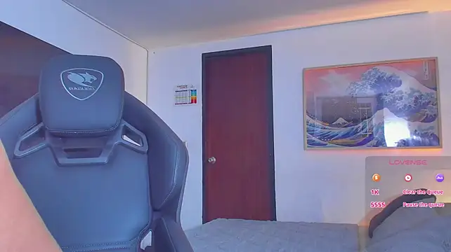 RJBarto webcam