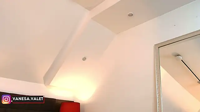 VanesaValet