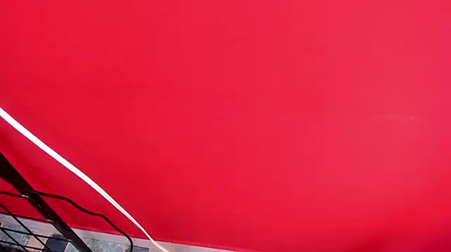 MasterAndMuse live sex cam