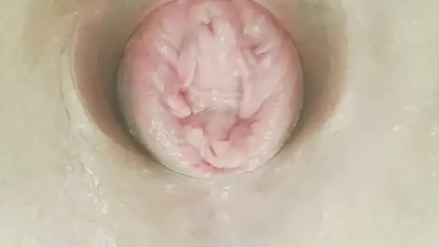 karol_stom