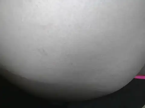Aniee2