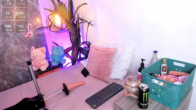 Meg_Stein