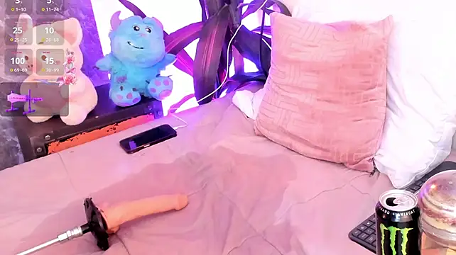 Meg_Stein