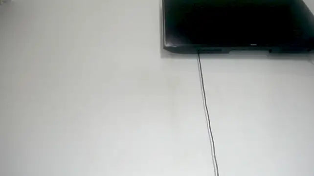 Fox_Loves