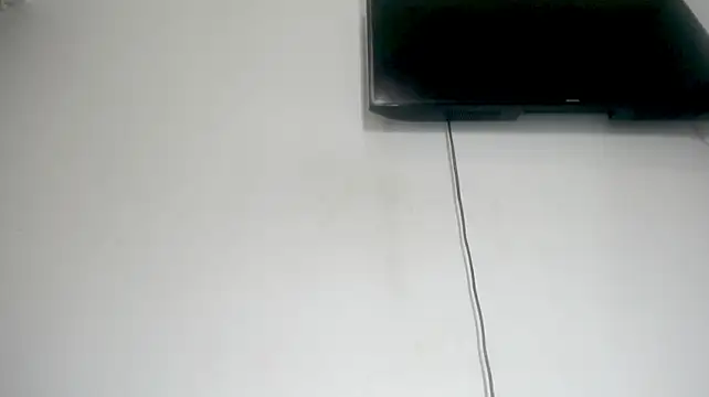 Fox_Loves