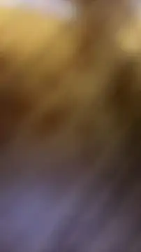 SexyAninha18