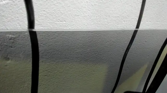 Zayn_carter webcam