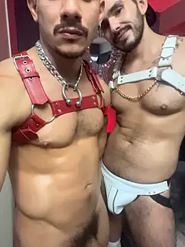lazzon_bastion webcam
