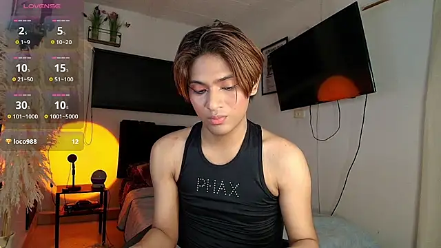 imgerver webcam