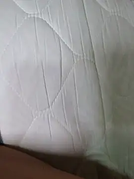 FansBRISA