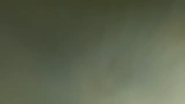 1asuckstick