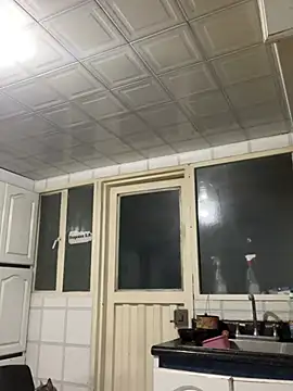 Freya_Artemisa