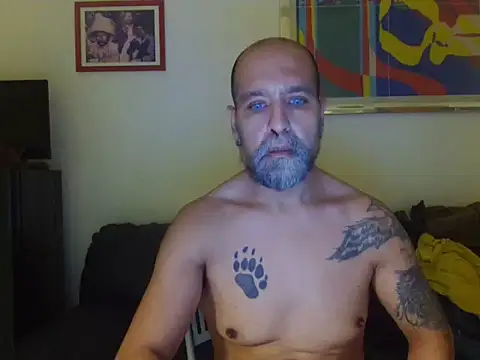 AMIRDIB2025