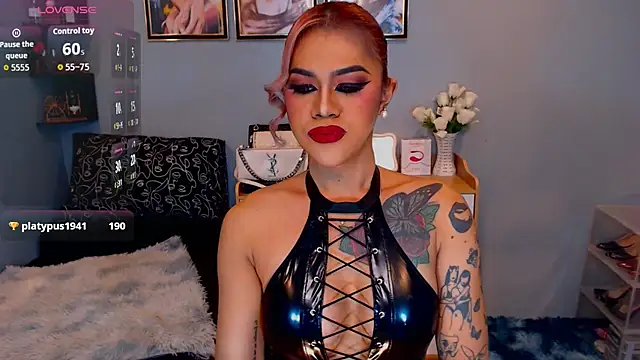 StellaStrong30 webcam