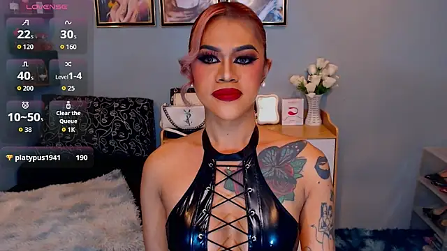StellaStrong30 webcam