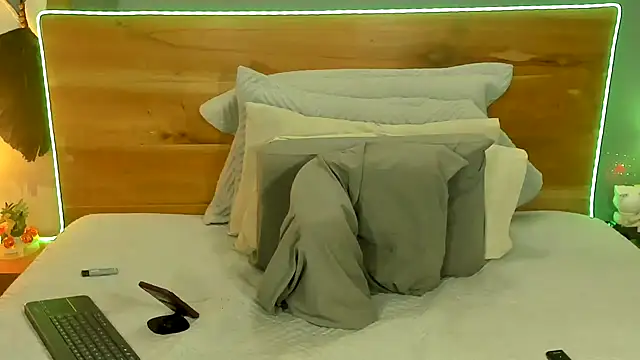 Prometeo-grizzly webcam