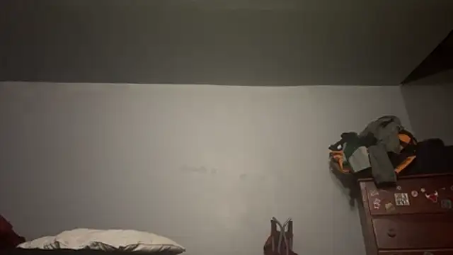 TheMightyDxXx webcam