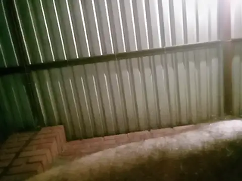 meguelaralara webcam