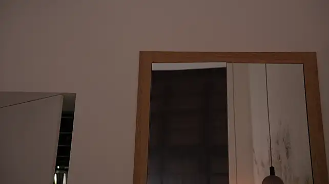 ibiddi webcam