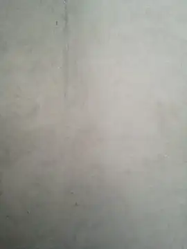 XAMSTERLAYV