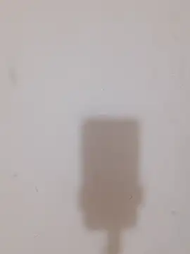 Fiza_Rani78