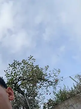 Gipsyboysteve