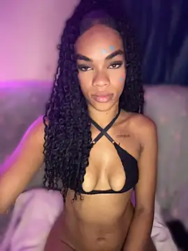 MIMICAMM webcam