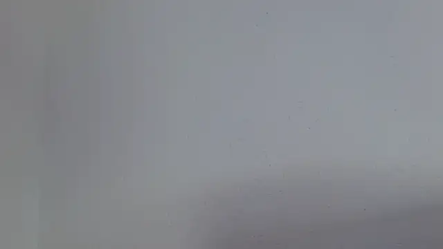 isabel_24_gil