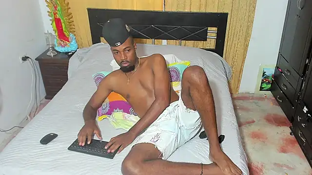 blaze_panther
