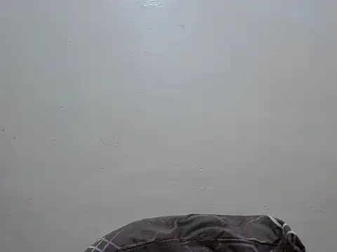 sweet_bunny_cel
