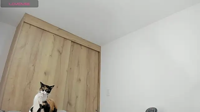 xspecialoomx