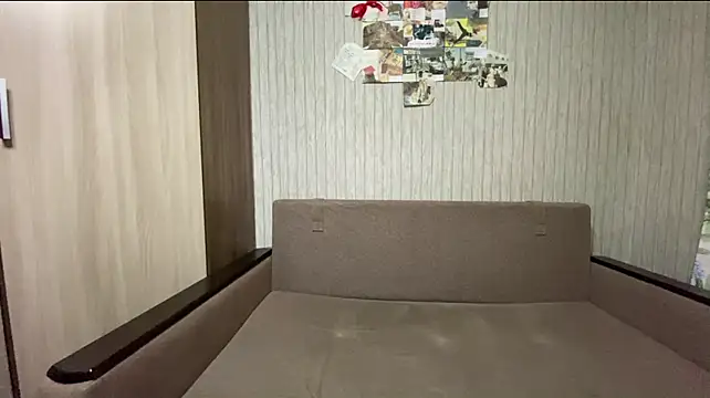 Shinylvy
