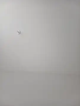 FiscalMiscount live cam preview