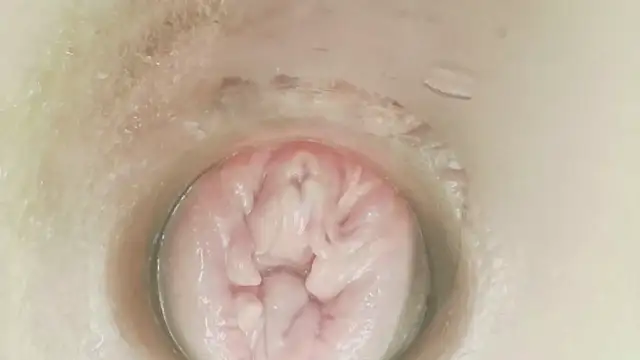 karol_stom