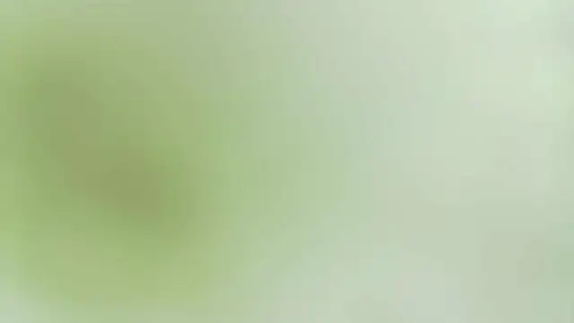 karol_stom