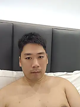 lf119102 webcam