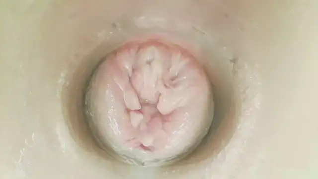 karol_stom